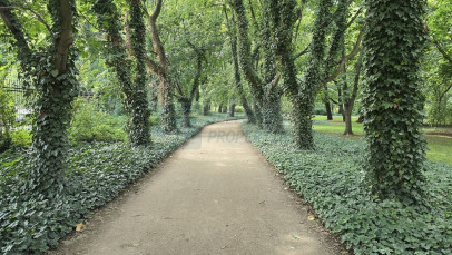 Mieszkanie Wynajem Warszawa Mokotów Bluszczańska