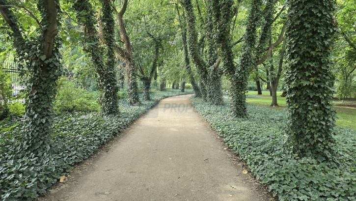 Mieszkanie Sprzedaż Warszawa Mokotów Bluszczańska 18