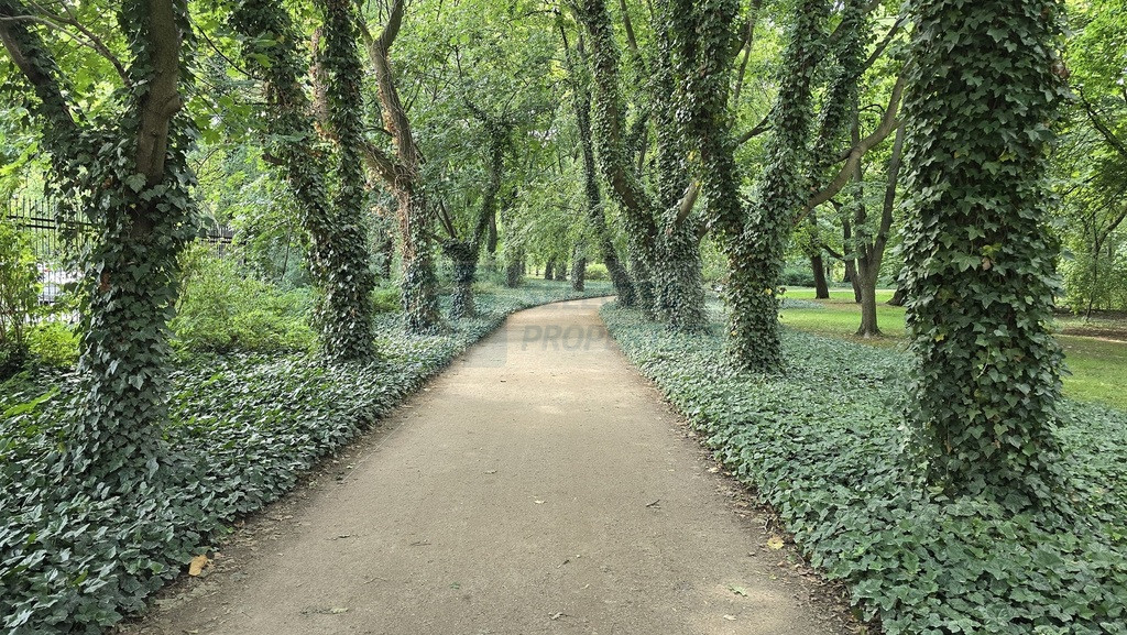 Mieszkanie Wynajem Warszawa Mokotów Sułkowicka
