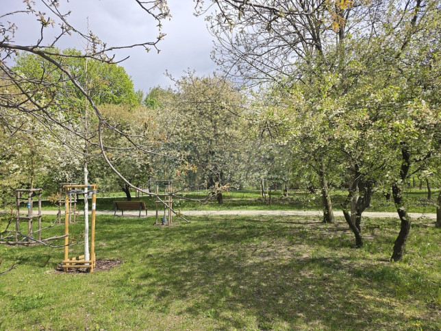 Mieszkanie Wynajem Warszawa Wola Redutowa 19