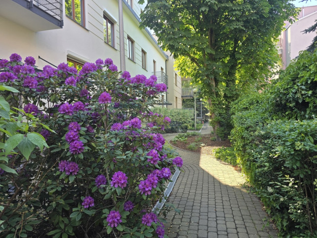 Mieszkanie Wynajem Warszawa Ursynów Bekasów 5