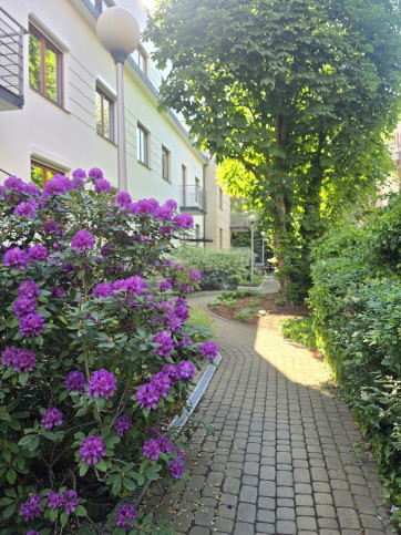 Mieszkanie Wynajem Warszawa Ursynów Bekasów 11