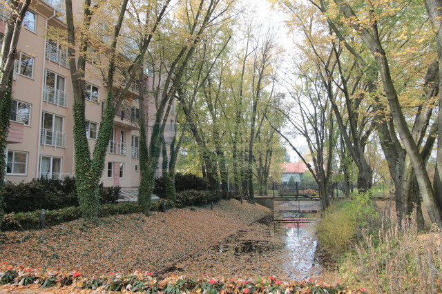 Mieszkanie Wynajem Warszawa Mokotów Zbyszka Cybulskiego 2