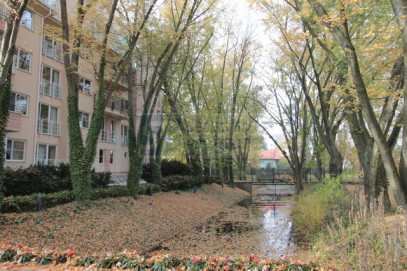Mieszkanie Wynajem Warszawa Mokotów Zbyszka Cybulskiego