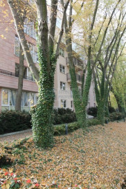 Mieszkanie Wynajem Warszawa Mokotów Zbyszka Cybulskiego