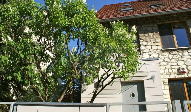 Dom Wynajem Warszawa Mokotów