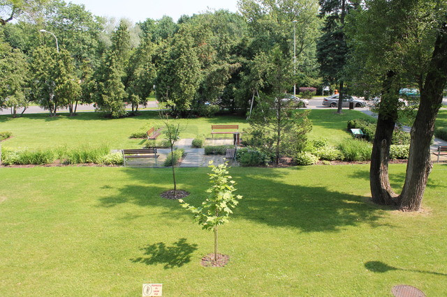 Mieszkanie Wynajem Warszawa Mokotów Warowna 15