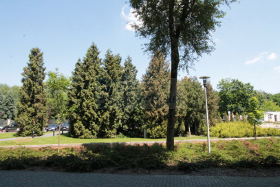 Mieszkanie Wynajem Warszawa Mokotów Fregaty