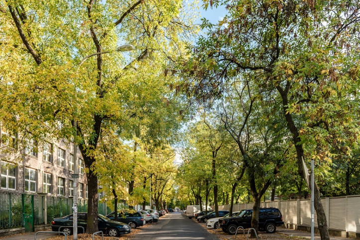 Mieszkanie Wynajem Warszawa Mokotów Czerska 10