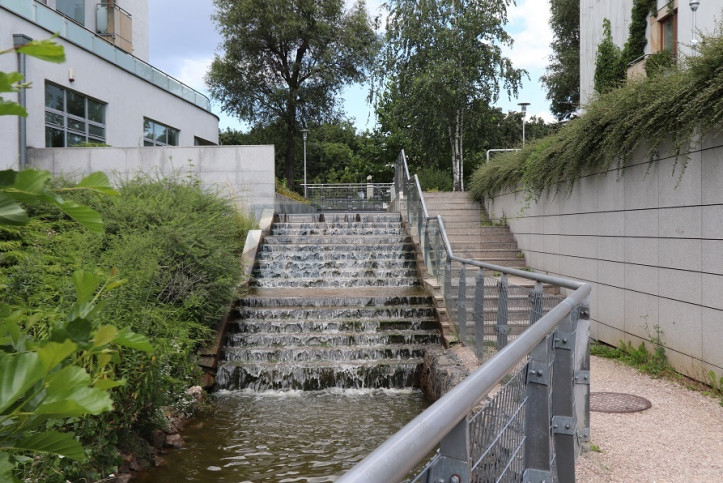 Mieszkanie Wynajem Warszawa Mokotów Przejazd 37