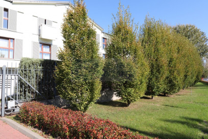 Mieszkanie Wynajem Warszawa Wilanów Zygmunta Vogla
