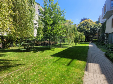 Mieszkanie Wynajem Warszawa Mokotów Biały Kamień